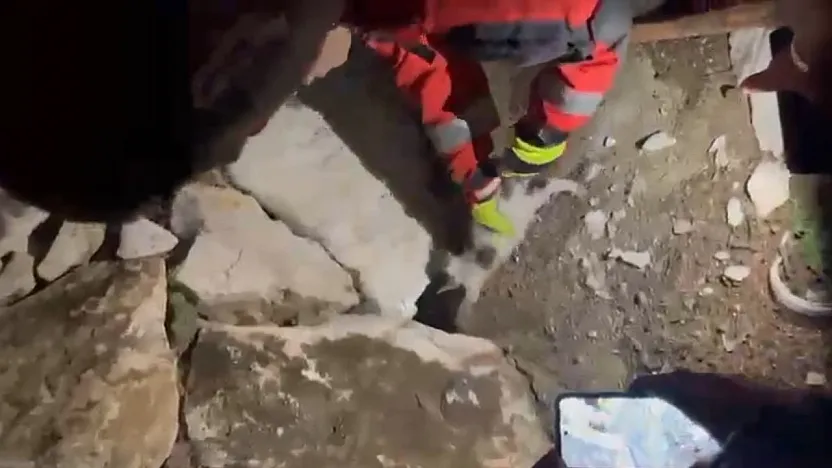 Yatağan'da duvara sıkışan kediyi itfaiye kurtardı