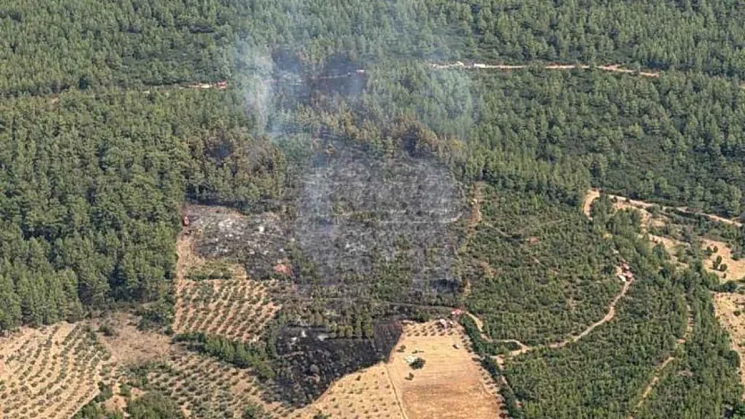 Yatağan'da korkutan zirai yangın kontrol altına alındı