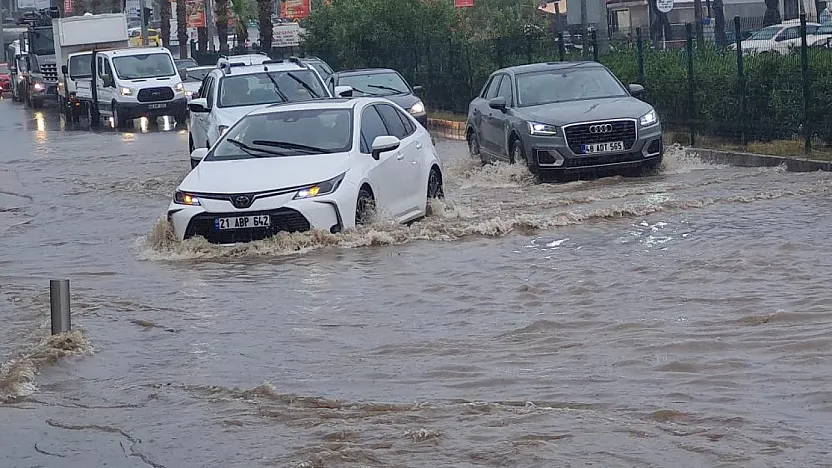 Yoğun yağışlar Kasım bereketi yaşattı