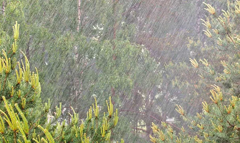28 Ekim Muğla hava durumu: 13 ilçede kuvvetli sağanak bekleniyor