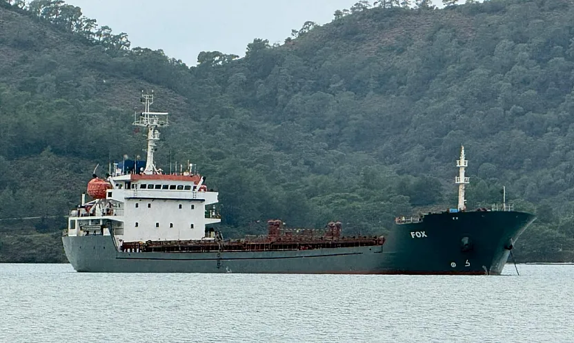 Barbados bayraklı yük gemisi 'Fox' Fethiye Körfezi'ne demirledi