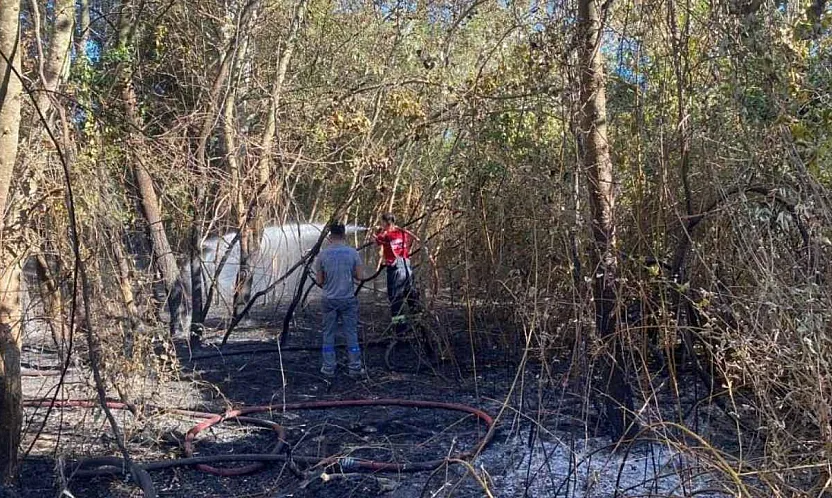 Bodrum Belediyesi ekiplerinden yangınlara müdahale desteği