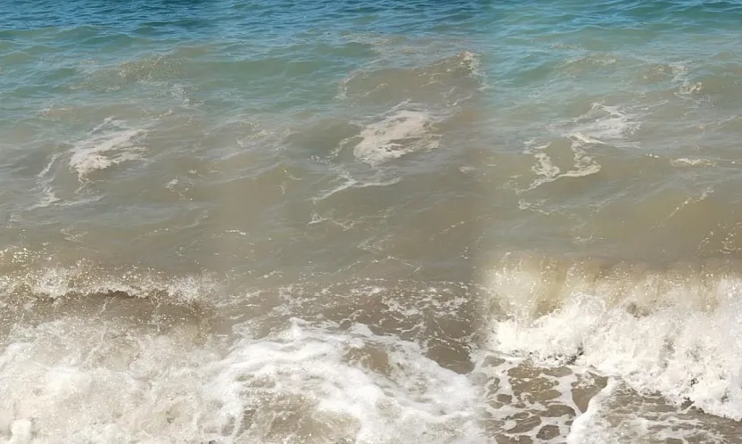 Bodrum'da deniz kirliliği: 'Başsavcılık soruşturma başlattı'