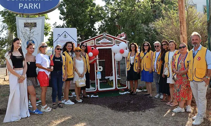 Bodrum'da görme engelli kediler için özel bakımevi açıldı