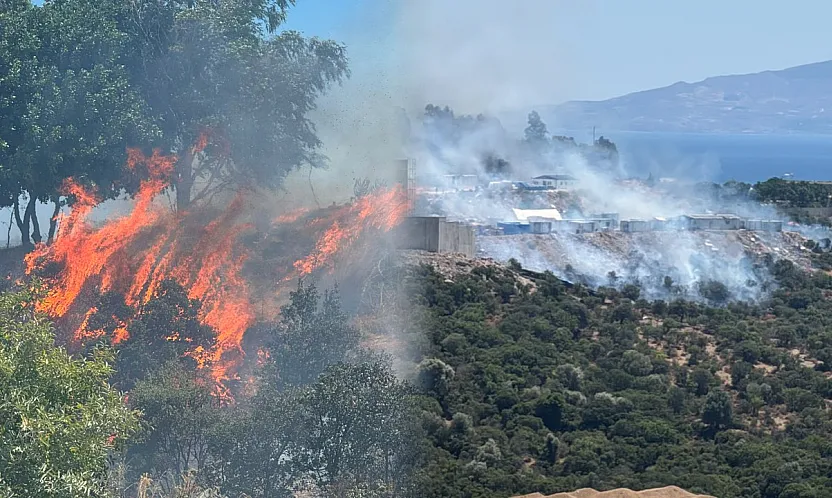 Bodrum'da konteynerde başlayıp makilik alana sıçrayan yangın söndürüldü