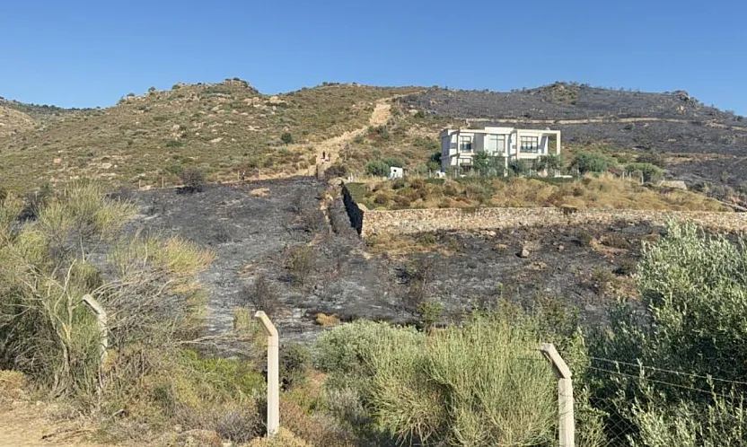 Bodrum'da makilik yangını kontrol altına alındı