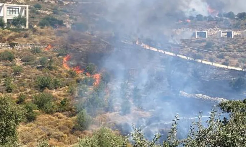 Bodrum'da makilik yangını