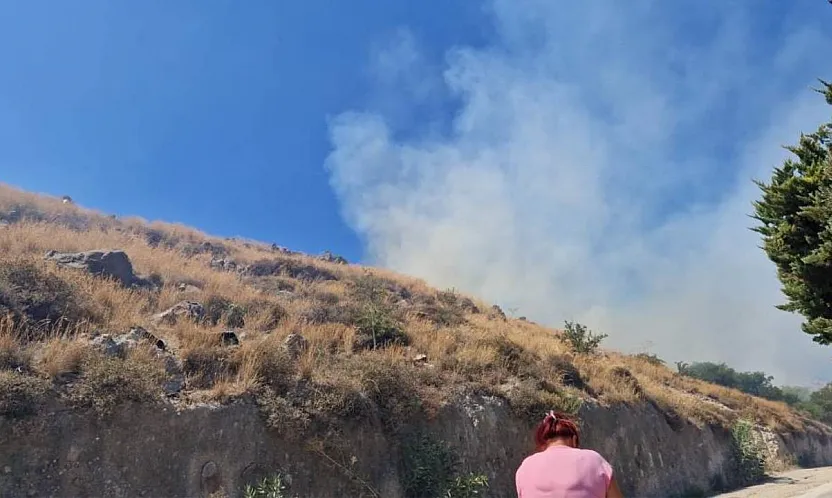 Bodrum'da makilik yangını
