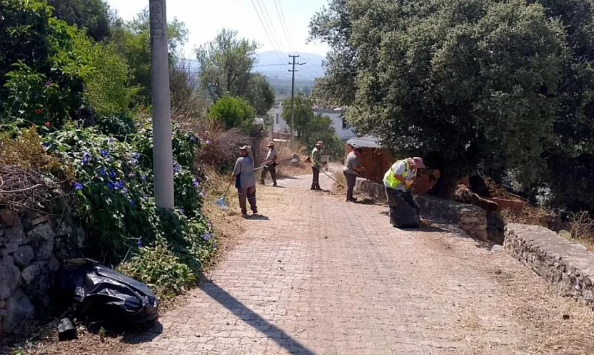 Bodrum'da ot temizliği çalışmaları sürüyor