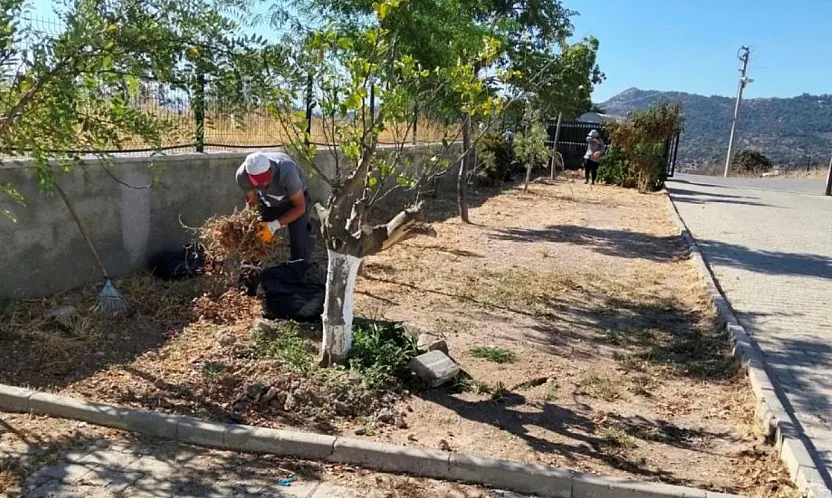 Bodrum'da ot temizliği çalışmaları sürüyor