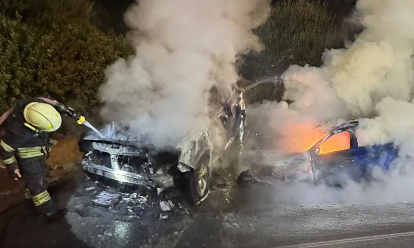 Bodrum'da otomobilde çıkan yangın söndürüldü