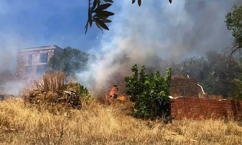 Bodrum'da rüzgarın büyüttüğü yangın 1 saatte söndürüldü