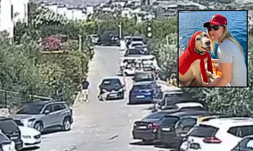 Bodrum'daki köpek davasında sanık beraat etti