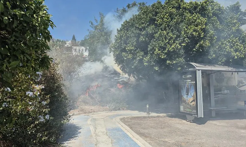 Bodrum'daki yangın büyümeden söndürüldü