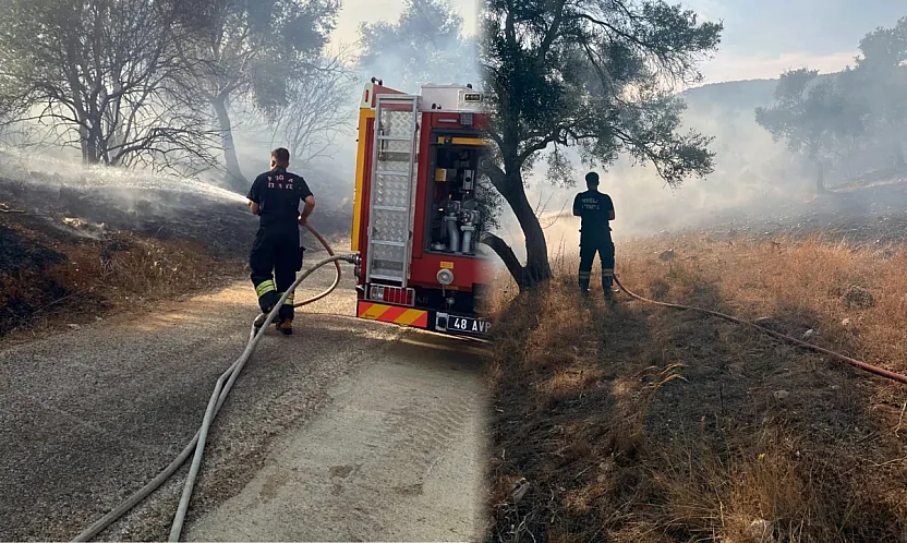Bodrum-Milas karayolu üzerinde ot yangını