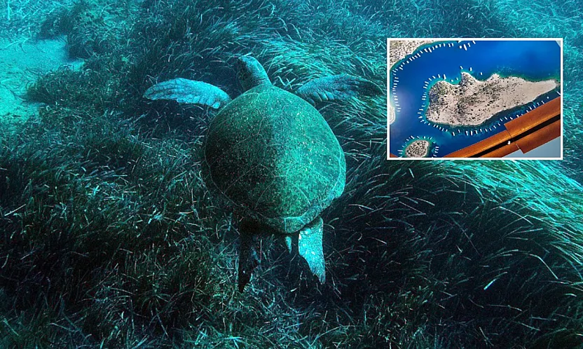 Bodrum'un su altı ekosistemini haritalama çalışmaları sürüyor