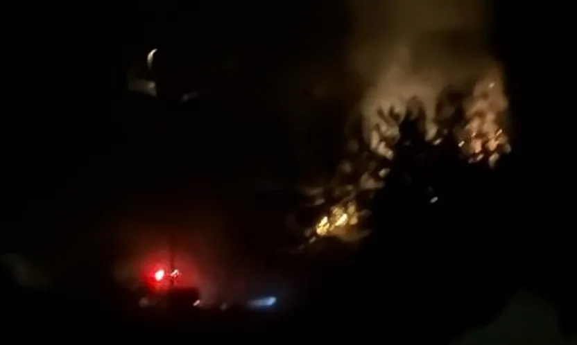 Dalaman'da Orman Yangını Büyümeden Söndürüldü
