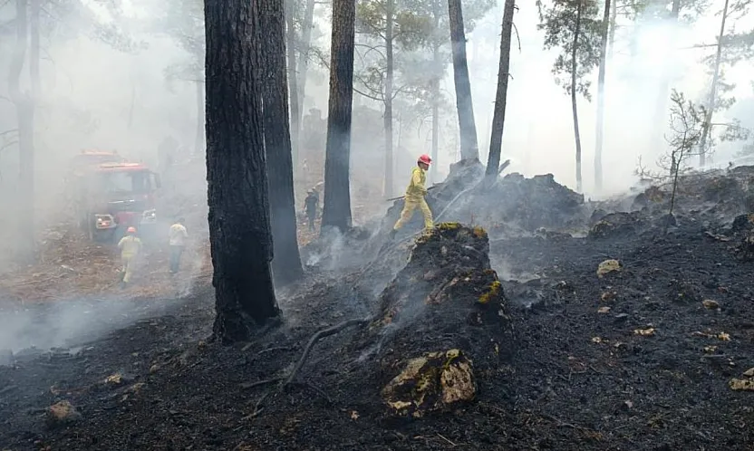 Dalaman'da Orman Yangını Ekiplerin Müdahalesiyle Kontrol Altına Alındı