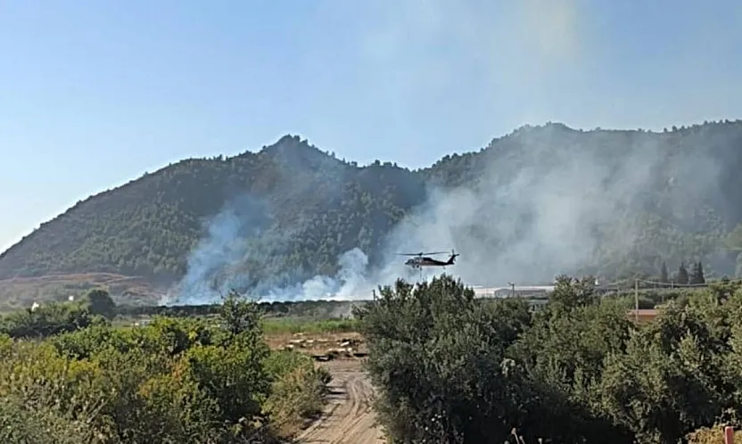 Dalaman'da tarım alanındaki yangın kısa sürede söndürüldü