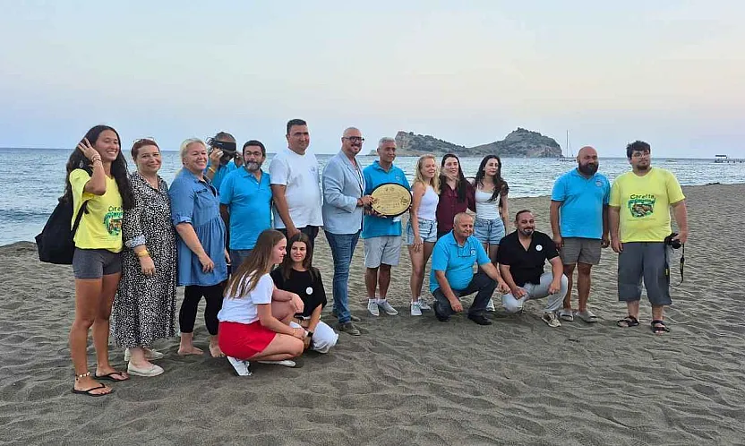 Dalyan ve Sarıgerme'de 6 bin caretta caretta yavrusu denizle buluştu