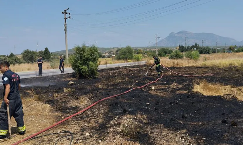Datça'da kuru ot yangını büyümeden söndürüldü