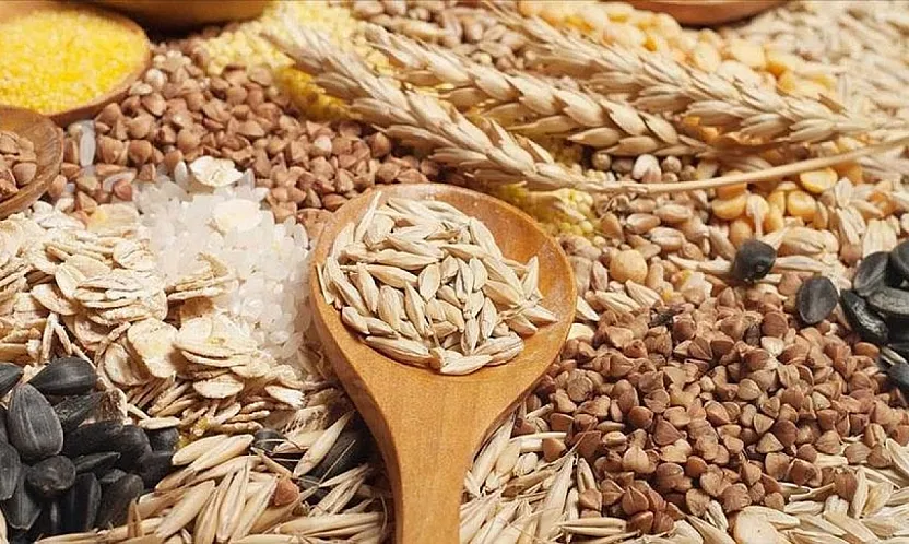 Ege Bölgesi'nin 2025'teki tarım ürünleri ihracatı 7,5 milyar dolara ulaştı