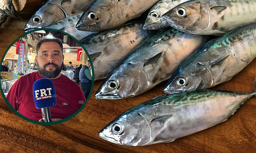 Fethiye Balık Hali'nde Palamut Bereketi: Balıkçıdan Sezon Uyarısı