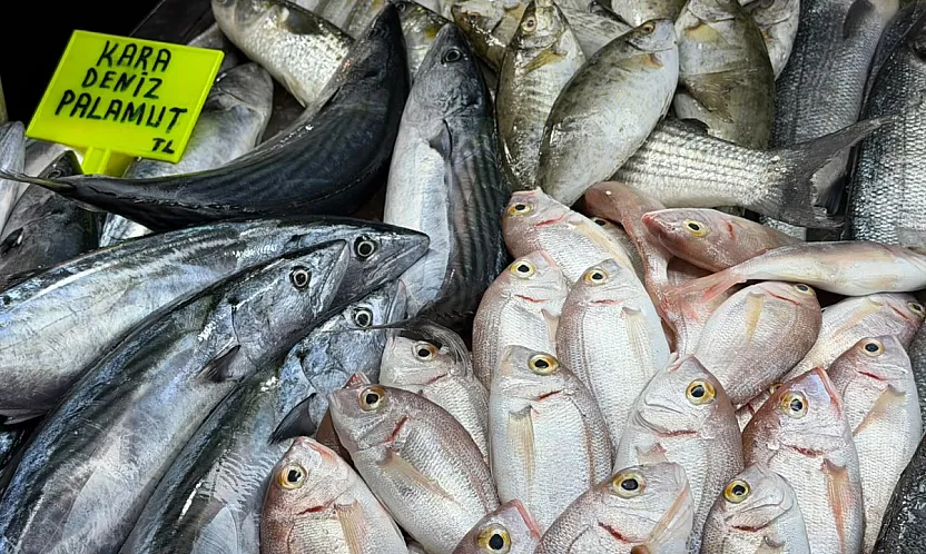 Fethiye Balık Pazarı'nda haftanın indirim şampiyonu palamut
