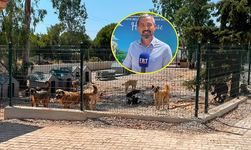 Fethiye Belediyesi'nden sokak hayvanlarına modern yaşam alanı