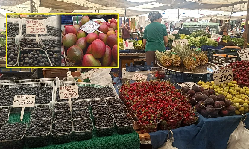 Fethiye Çalış Pazarı'nda Fiyat Rekoru Yaban Mersini ve Mango'da