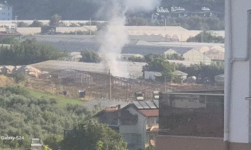 Fethiye'de anız yangını itfaiyenin müdahalesiyle söndürüldü