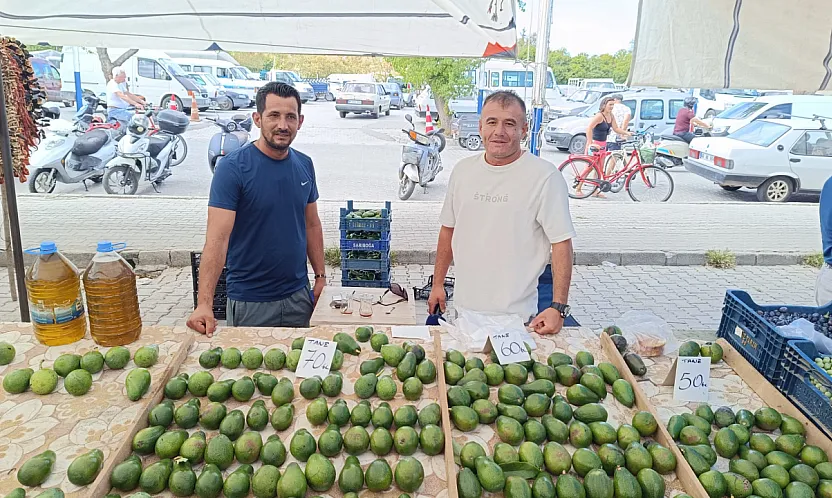 Fethiye'de avokado üreticisinden sezon uyarısı: 'Mevsimi gelmemiş ürünler piyasada'