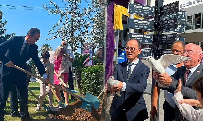Fethiye'de barışın güvercinleri uçtu, dostluğun zeytini dikildi