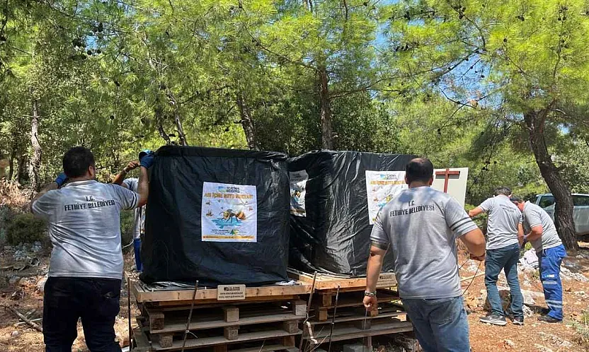 Fethiye'de Doğal Yaşama Destek: Arı İçme Suyu Noktaları Yenilendi