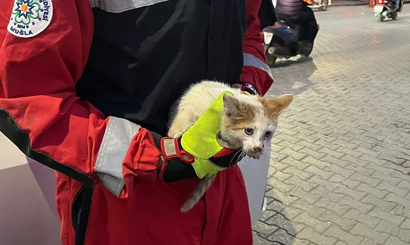 Fethiye'de kaputa giren kedi için seferber oldular