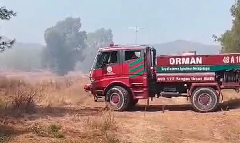 Fethiye'de korkutan yangın! Çöp depolama alanından ormana sıçradı