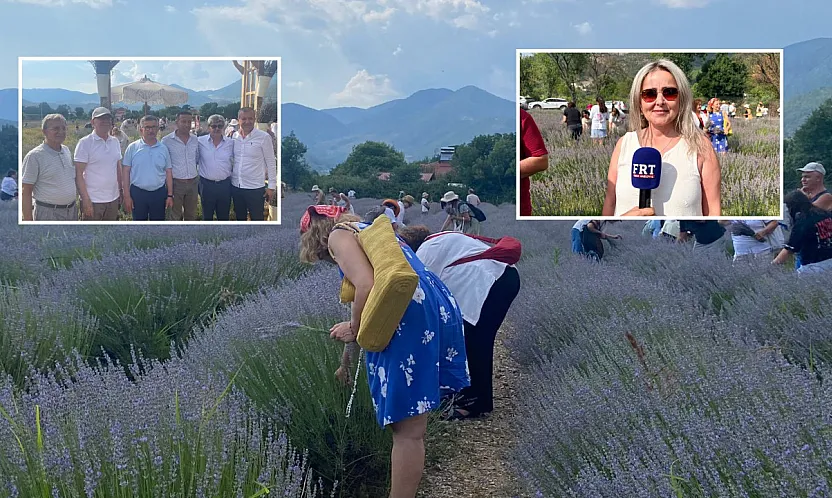 Fethiye'de lavantadan üretime, üretimden katma değere