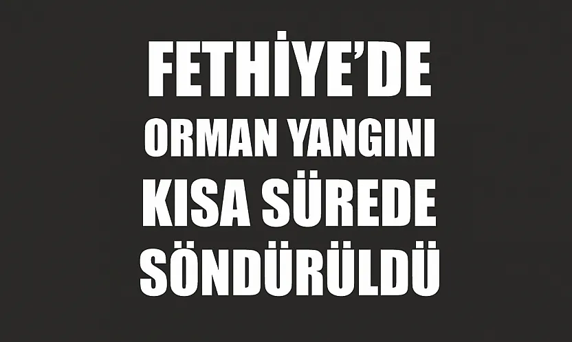 Fethiye'de orman yangını kısa sürede söndürüldü