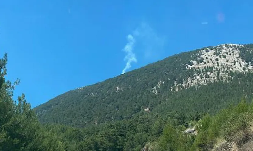 Fethiye'de orman yangını kontrol altına alındı