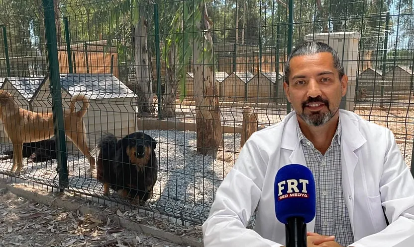 Fethiye'de 'Patili Dost Kart' sahiplerine özel ayrıcalıklar