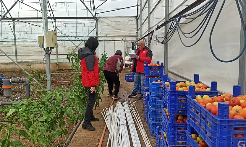 Fethiye'de seralarda hasar tespit çalışmaları sürüyor