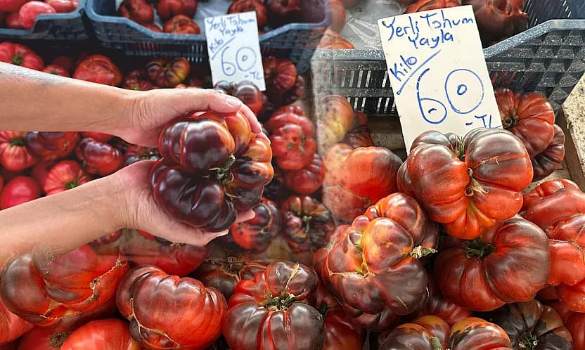 Fethiye'de Tarlaların Yeni Rengi: Çikolata Domates