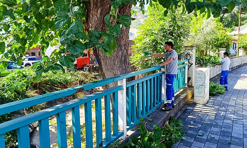 Fethiye'de trafik güvenliği için ağaçlar budanıyor