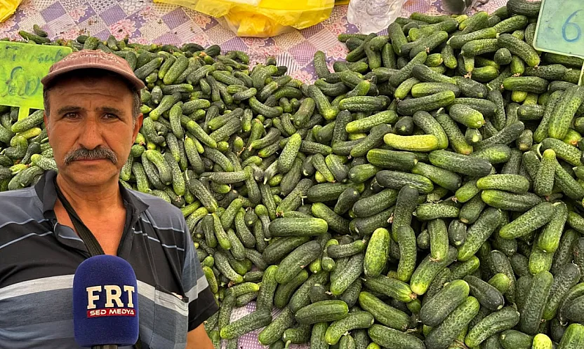 Fethiye'de turşuluk sezonu başladı: Bağlıağaç'ın tarla ürünleri Cuma Pazarı'nda
