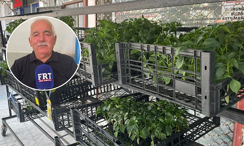 Fethiye'de üreticilere uyarı: Sıcaklıklar bitki hastalıklarını tetikliyor