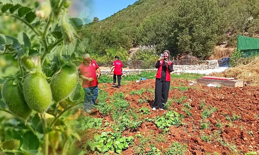 Fethiye'de üretim planlaması için nohut tarlaları incelendi