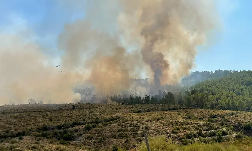 Fethiye'de yangın Koru Mahallesi'nde şiddetlendi