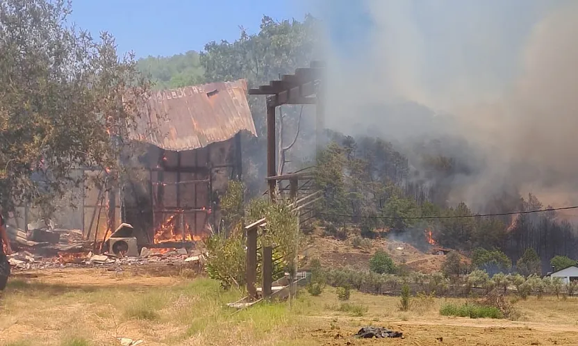 Fethiye'deki orman yangınında endişelendiren gelişme: Alevler yerleşim yerlerine yaklaştı
