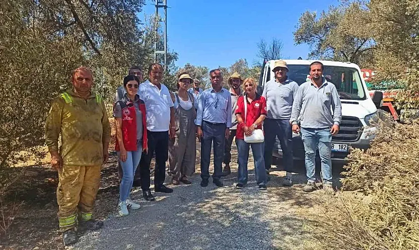 Fethiye İnlice Mahallesi'nde yangından etkilenen zeytinliklerde ön inceleme yapıldı