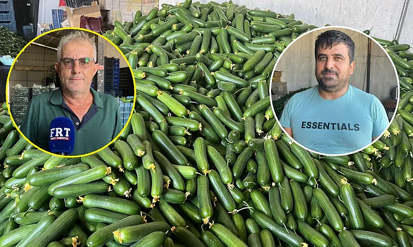 Fethiye Karaçulha Hali'nde salatalık sezonu zor başladı: Üretici de komisyoncu da kazanamıyor